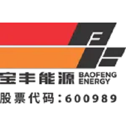 Ningxia Baofeng Energy Group